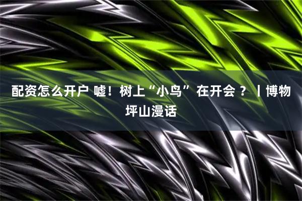 配资怎么开户 嘘！树上“小鸟” 在开会 ？丨博物坪山漫话
