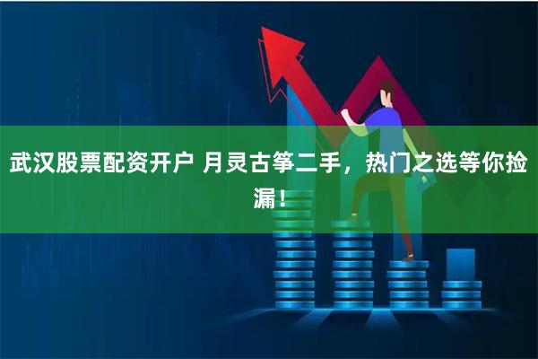 武汉股票配资开户 月灵古筝二手，热门之选等你捡漏！