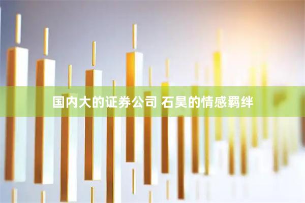 国内大的证券公司 石昊的情感羁绊